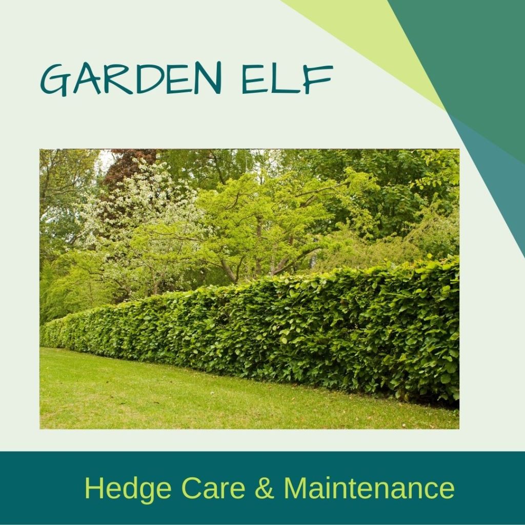 Example of a Garden Elf social media graphic